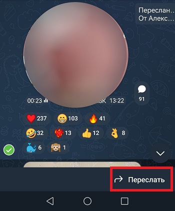 как отправить чужой кружок в телеграм