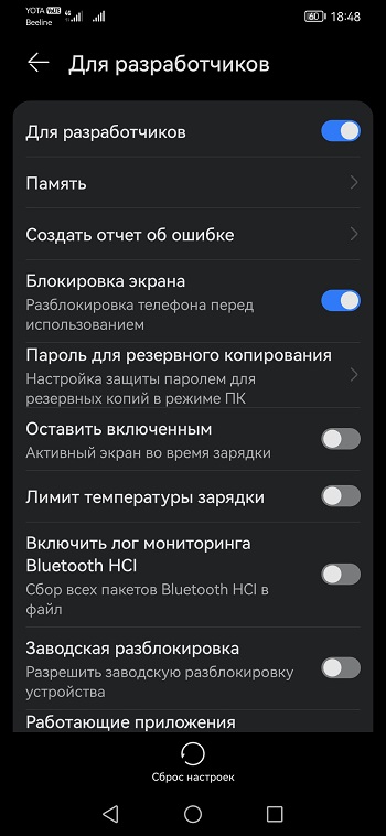 режим разработчика активирован