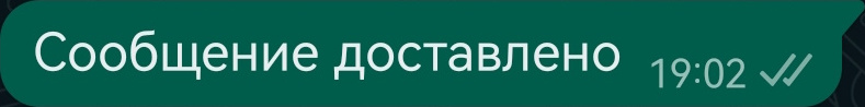 сообщение ватсап доставлено, но не прочитано