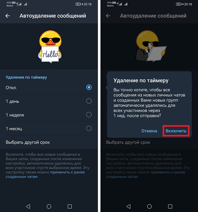 таймер удаление сообщений для всех чатов
