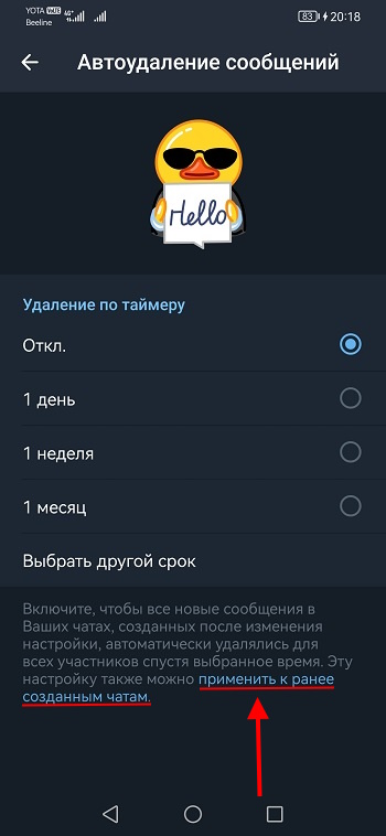 применить автоудаление к ранее созданным чатам
